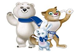 Системы для спортивных соревнований